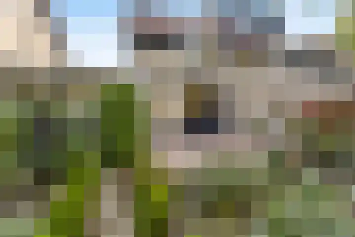 Alewijnsweer 16 Sliedrecht thumbnail 41