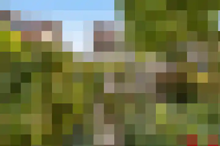 Alewijnsweer 16 Sliedrecht thumbnail 42