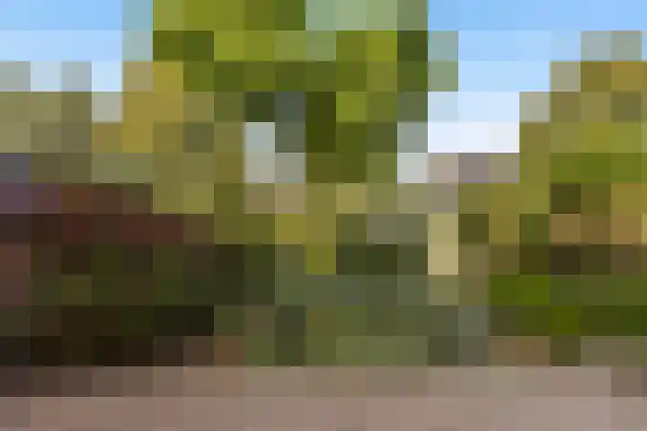 Alewijnsweer 16 Sliedrecht thumbnail 43