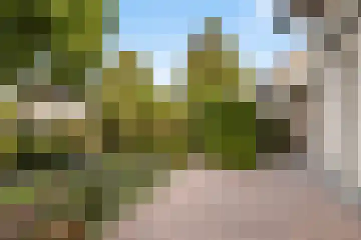 Alewijnsweer 16 Sliedrecht thumbnail 44