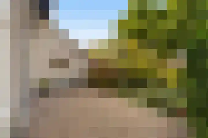 Alewijnsweer 16 Sliedrecht thumbnail 45