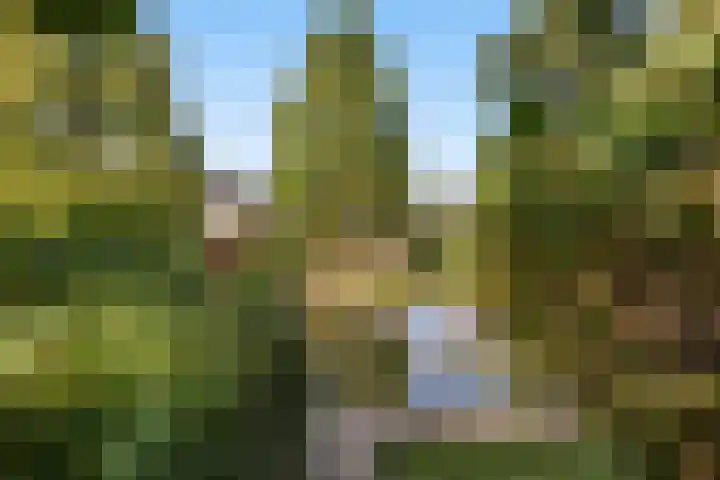 Alewijnsweer 16 Sliedrecht thumbnail 48