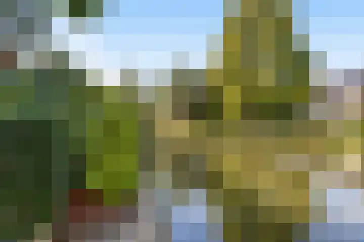 Alewijnsweer 16 Sliedrecht thumbnail 49