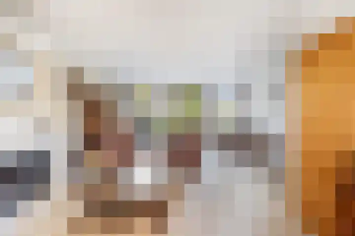 Alewijnsweer 16 Sliedrecht thumbnail 5