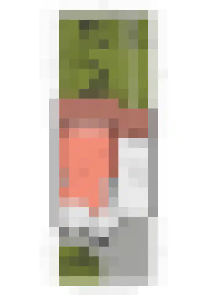 Alewijnsweer 16 Sliedrecht thumbnail 65
