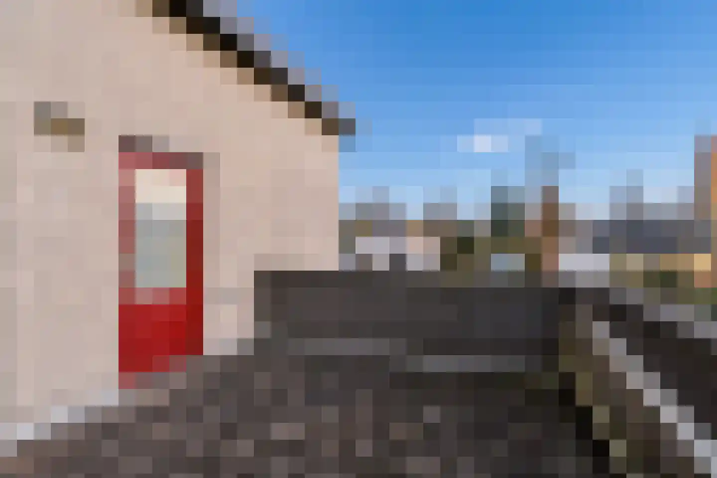 Alex Bennostraat 3 Almere thumbnail 43