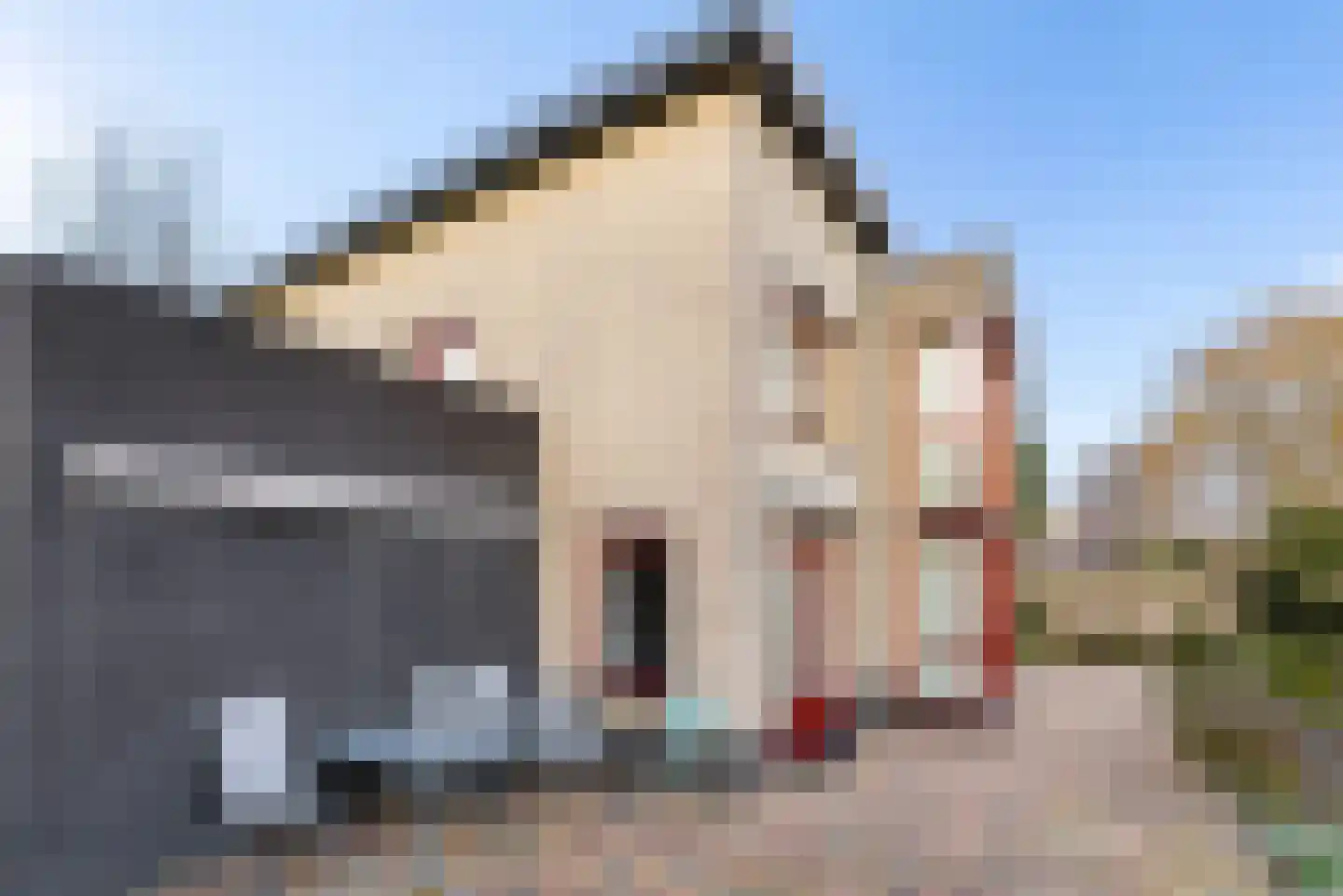 Alex Bennostraat 3 Almere thumbnail 59