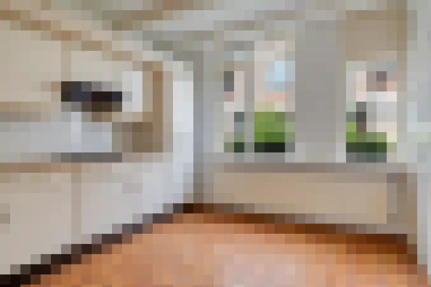 Alex de Haasstraat 20 Rotterdam thumbnail 15