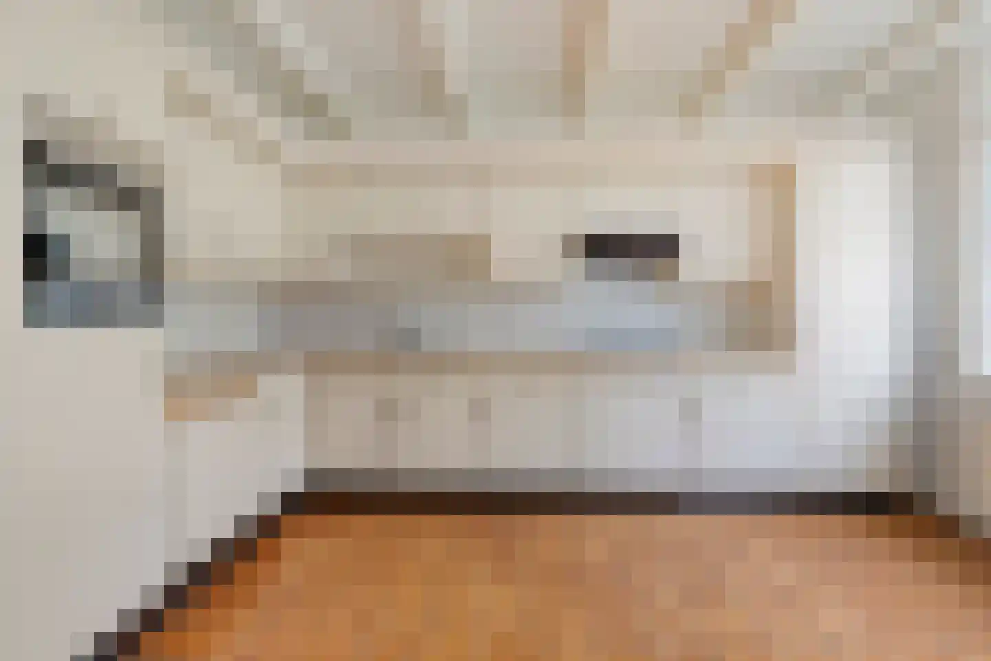 Alex de Haasstraat 20 Rotterdam thumbnail 4