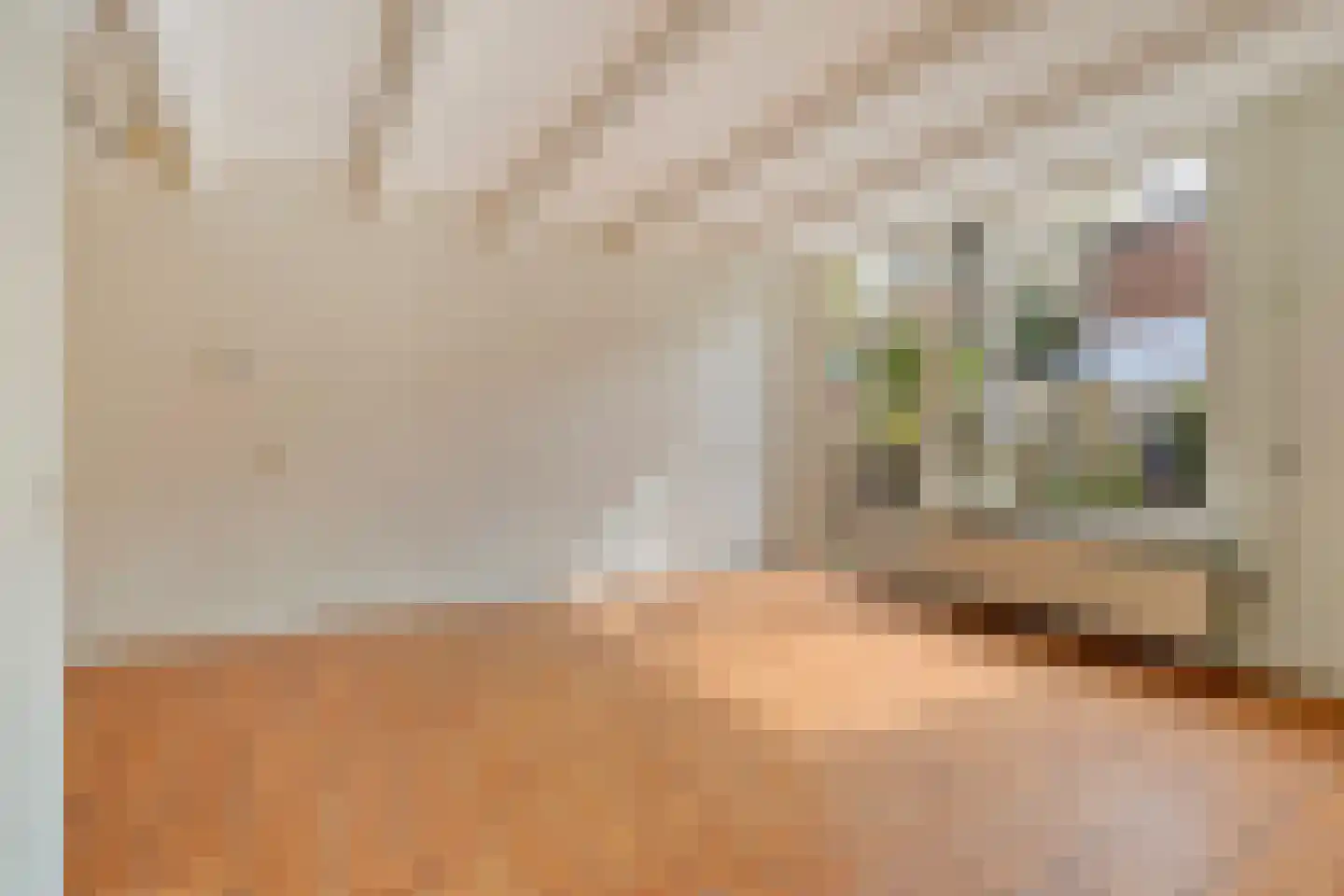 Alex de Haasstraat 20 Rotterdam thumbnail 8