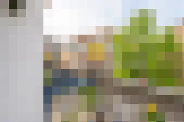 Alex de Haasstraat 30 Rotterdam thumbnail 15