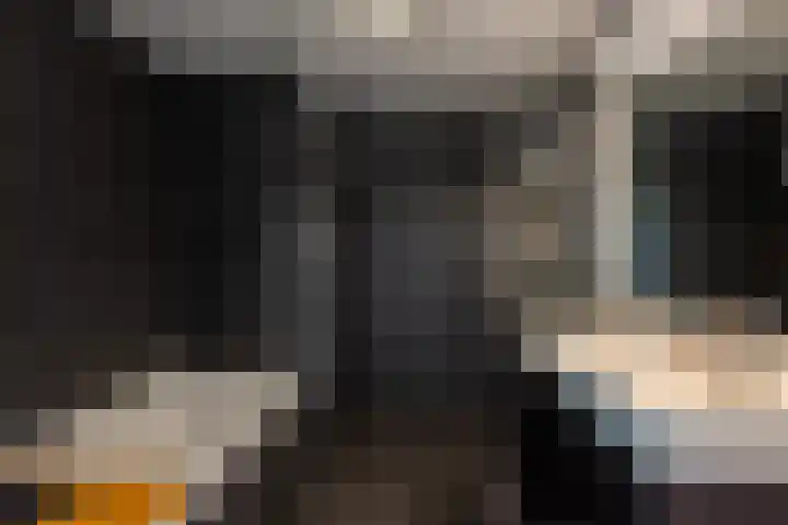 Alex de Haasstraat 30 Rotterdam thumbnail 28