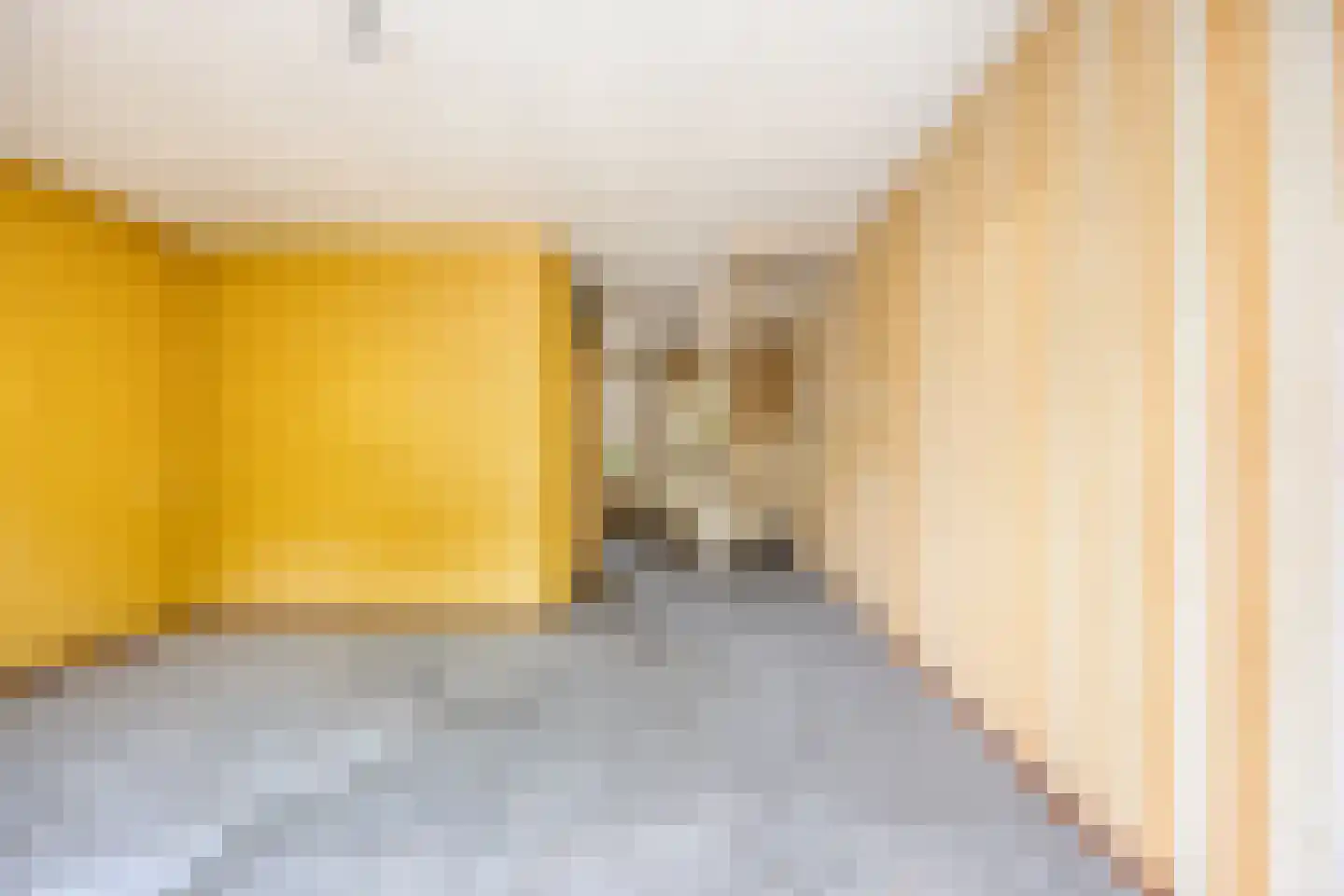 Alex de Haasstraat 32 Rotterdam thumbnail 9