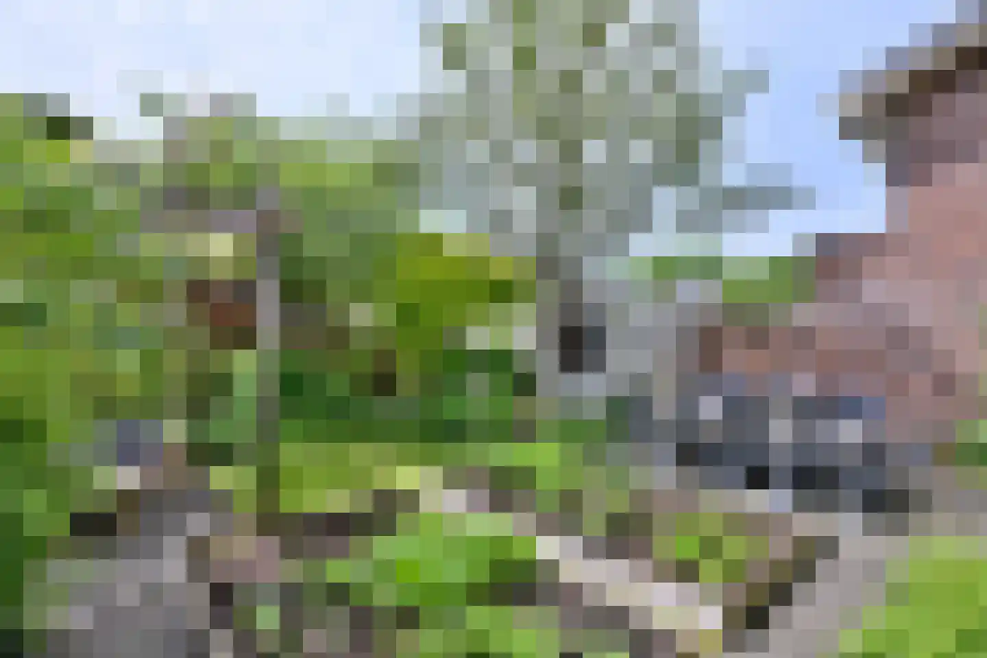 Alex Roosdorpstraat 1 Deventer thumbnail 35