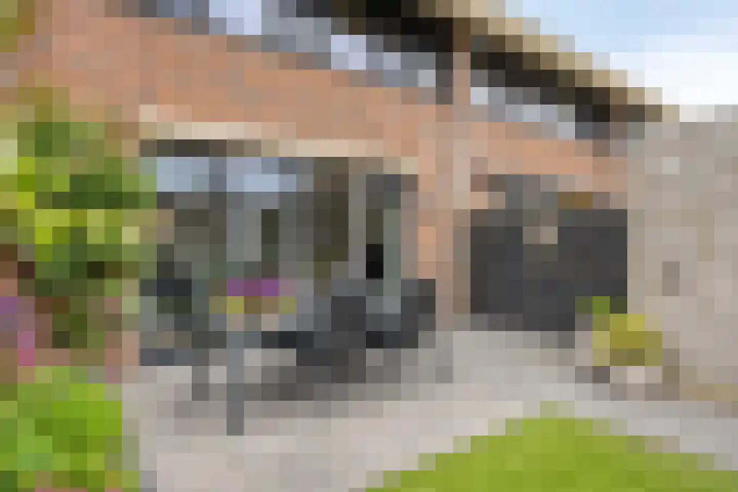 Alex Roosdorpstraat 15 Deventer thumbnail 21