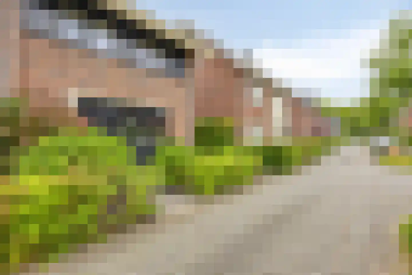 Alex Roosdorpstraat 15 Deventer thumbnail 26