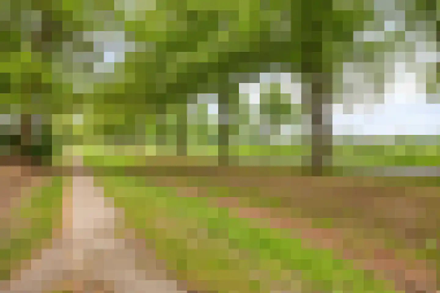 Alex Roosdorpstraat 15 Deventer thumbnail 30