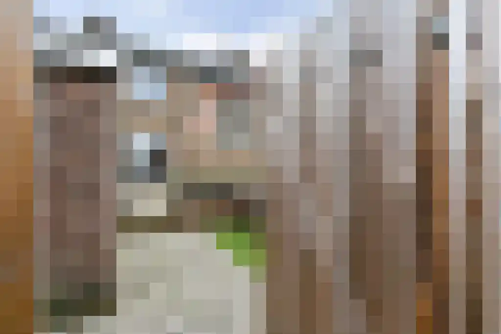 Alex Schaepkensstraat 18 Sittard thumbnail 25