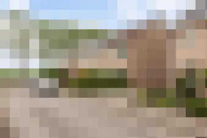 Alex Willemsstraat 24 Winssen thumbnail 22