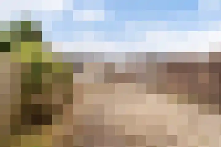 Alex Willemsstraat 24 Winssen thumbnail 6