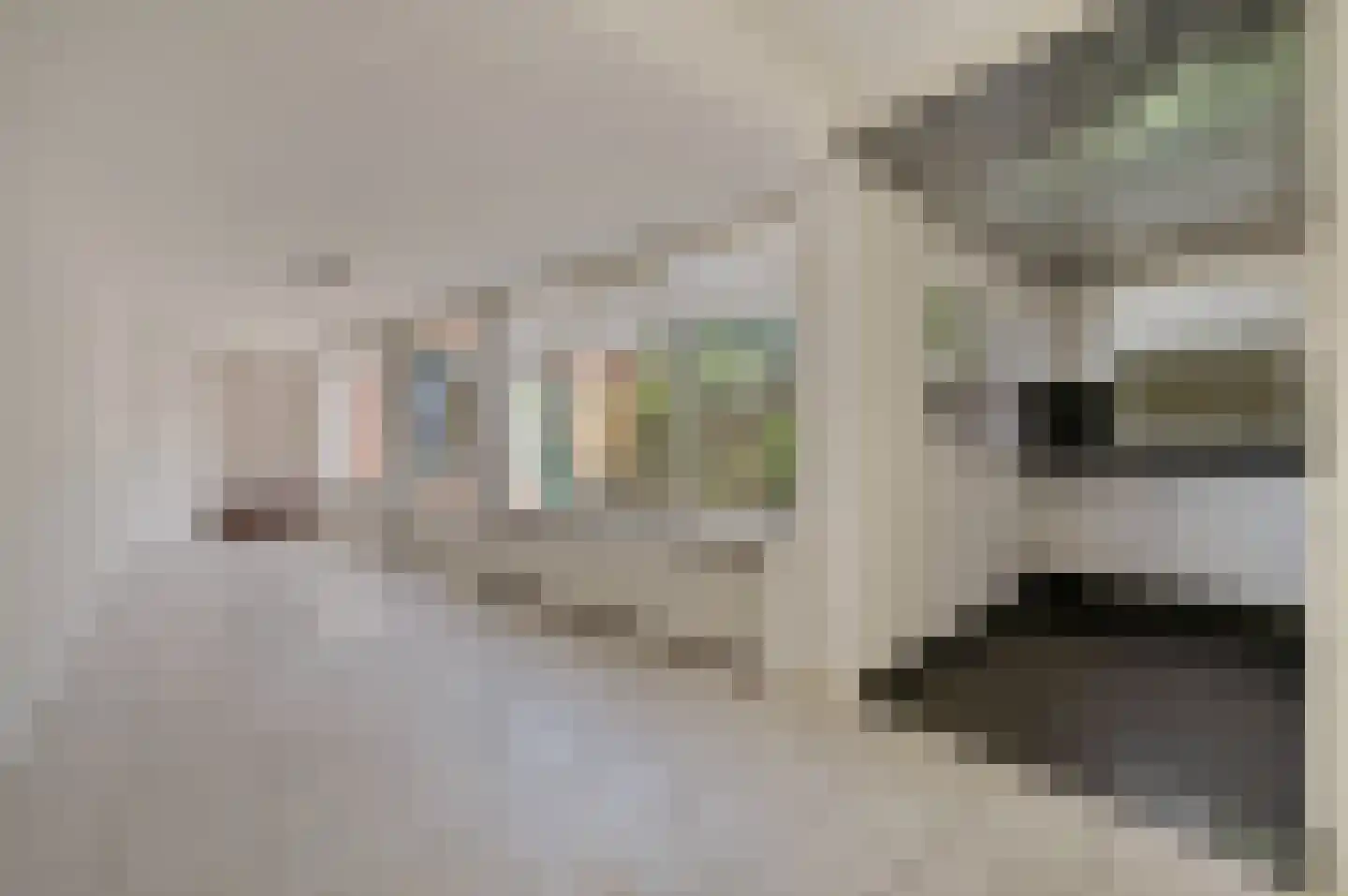 Alexander Adamskistraat 11 Voorschoten thumbnail 15