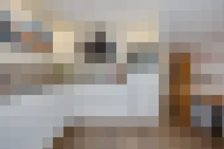 Alexander Adamskistraat 5 Voorschoten thumbnail 13
