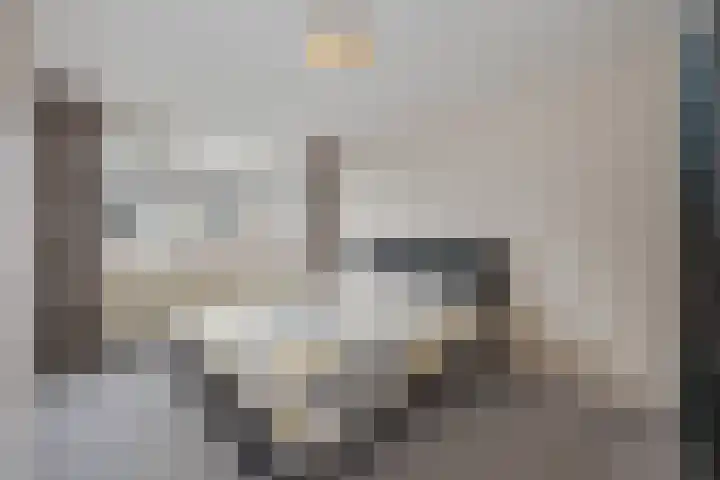 Alexander Adamskistraat 5 Voorschoten thumbnail 18