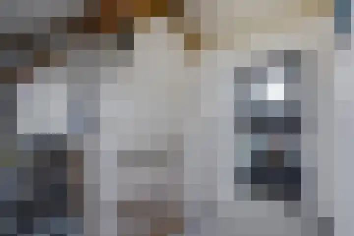 Alexander Adamskistraat 5 Voorschoten thumbnail 25