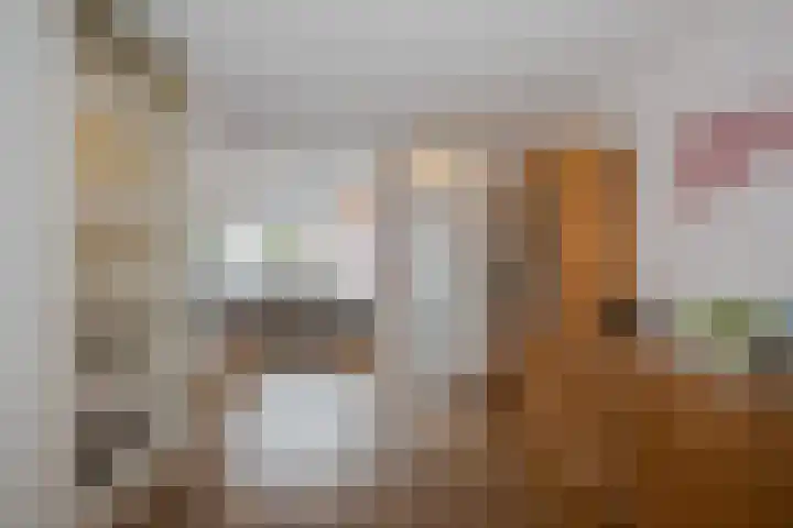 Alexander Adamskistraat 5 Voorschoten thumbnail 5