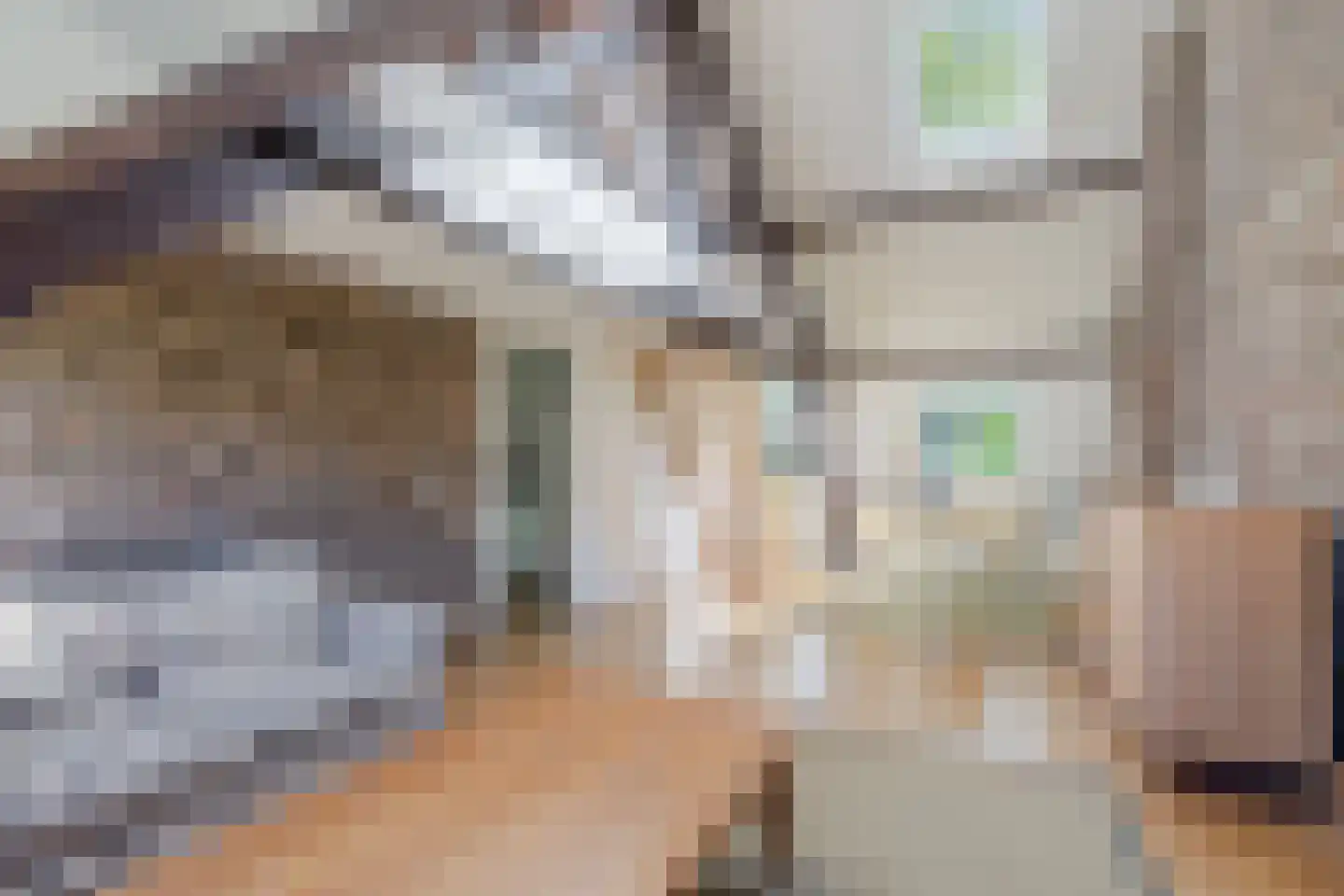 Alexander Battalaan 56 Maastricht thumbnail 33