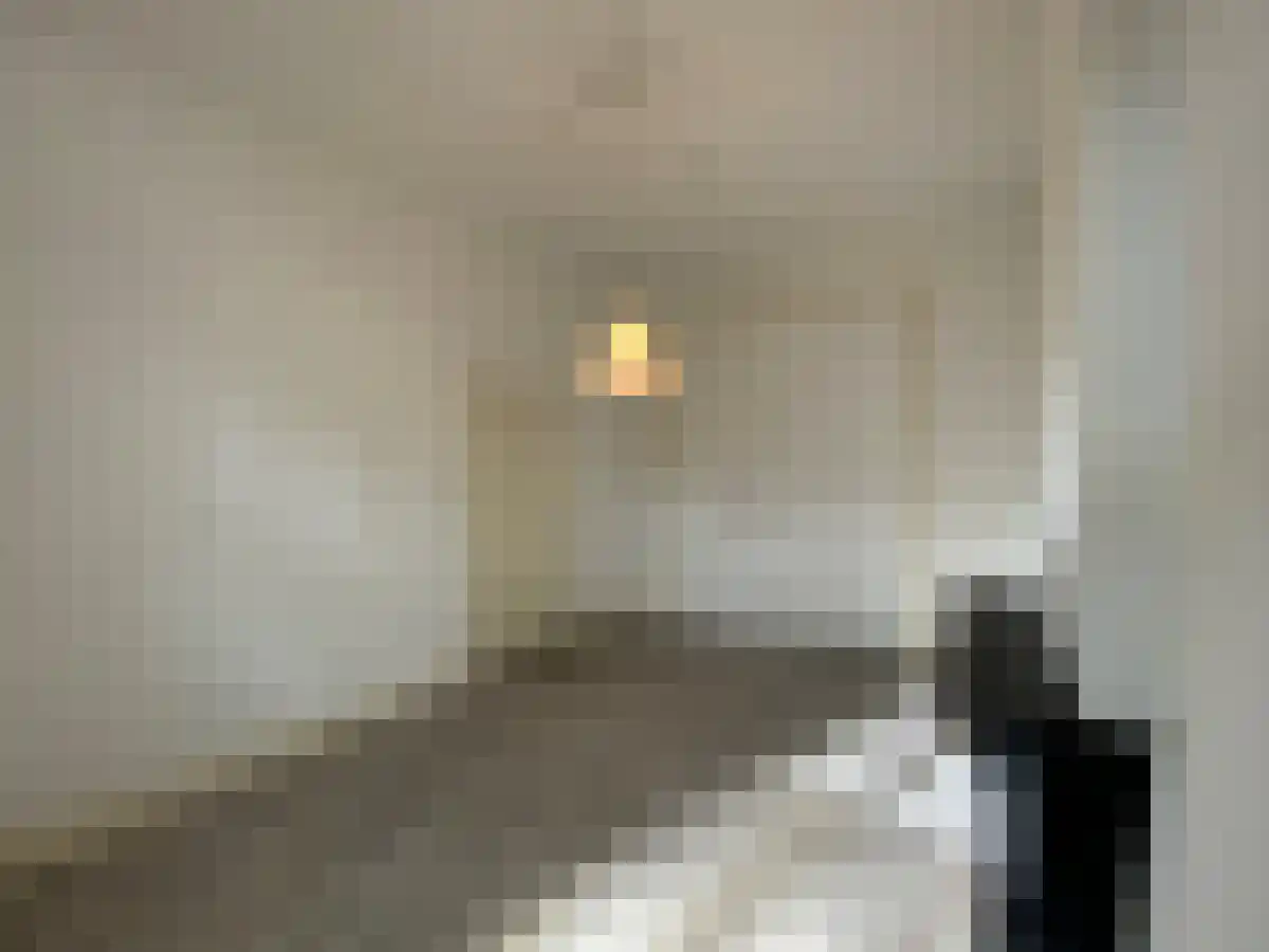 Alexander Battalaan 8 2 Maastricht thumbnail 6