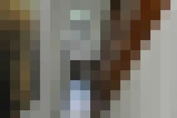Alexander Battalaan 8 3 Maastricht thumbnail 6