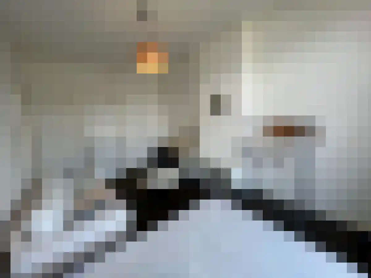 Alexander Battalaan 8 9 Maastricht thumbnail 5