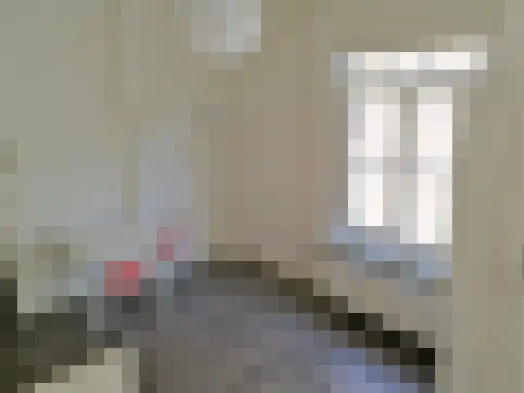Alexander Battalaan 81 3 Maastricht thumbnail 5