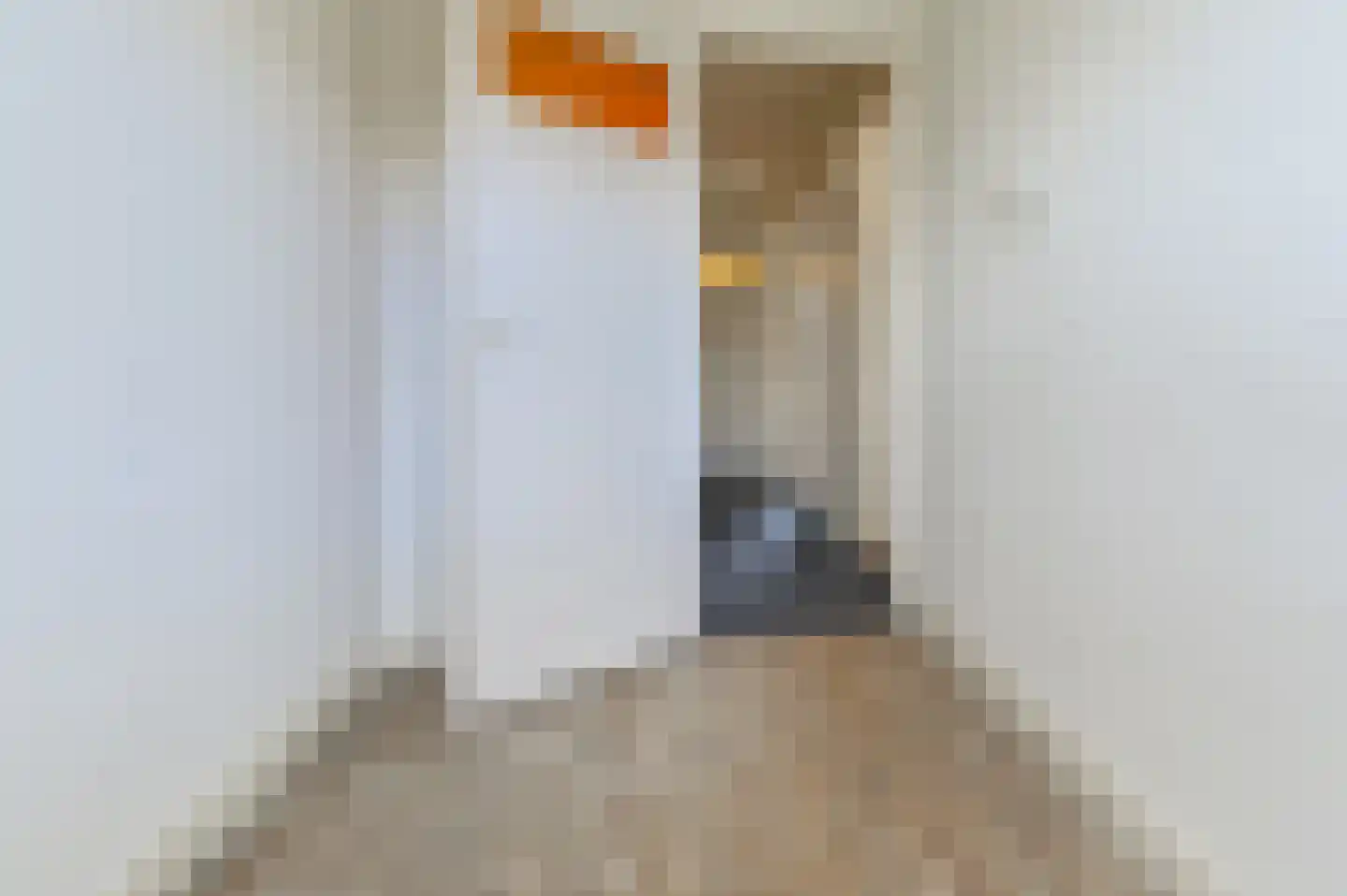 Alexander Bellstraat 69 IJmuiden thumbnail 25