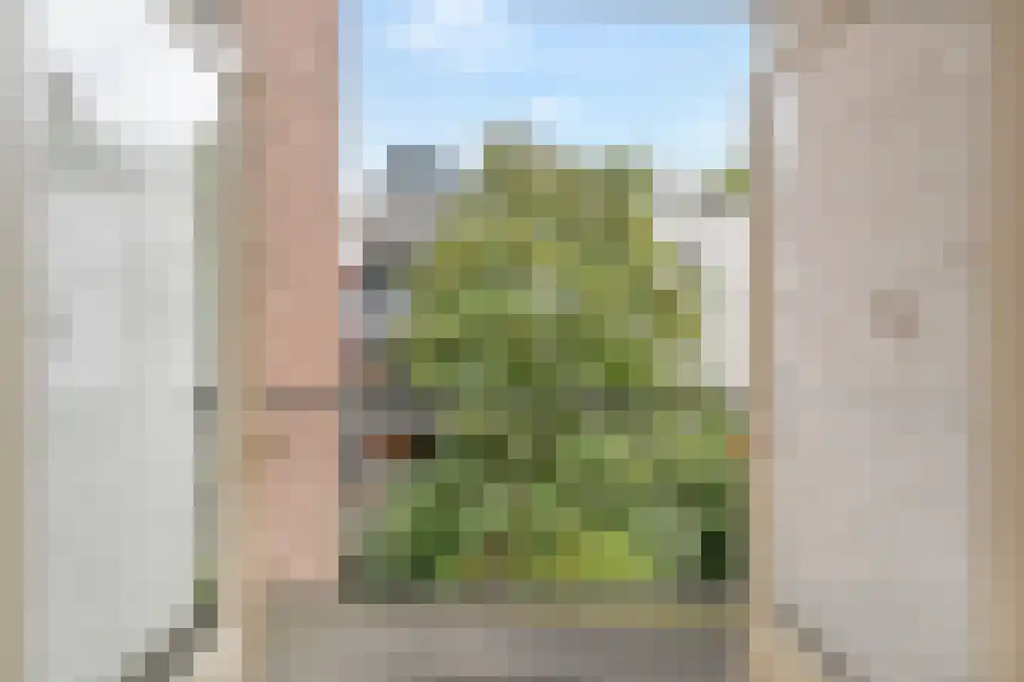 Alexander Boersstraat 16 2 Amsterdam thumbnail 14