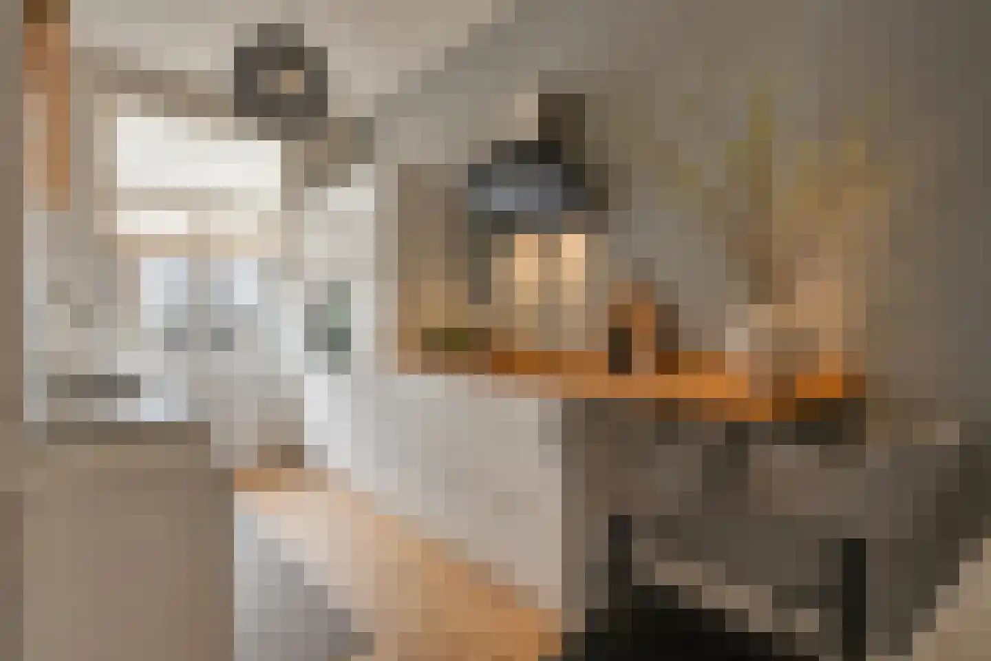 Alexander Boersstraat 18 2 Amsterdam thumbnail 6