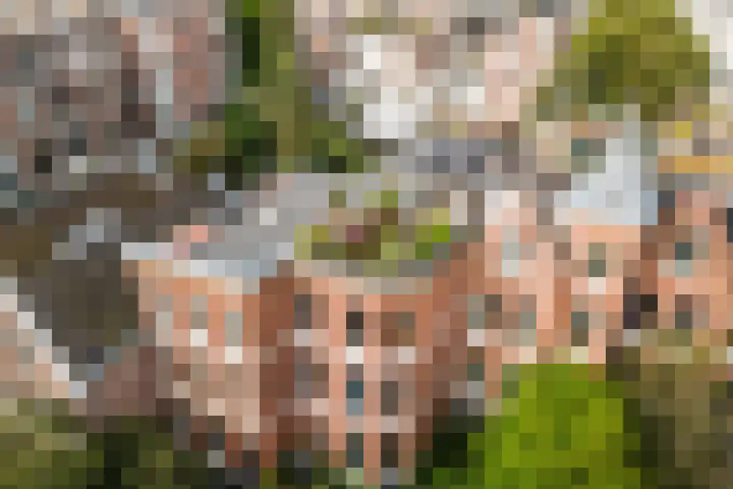 Alexander Boersstraat 7 2 Amsterdam thumbnail 5