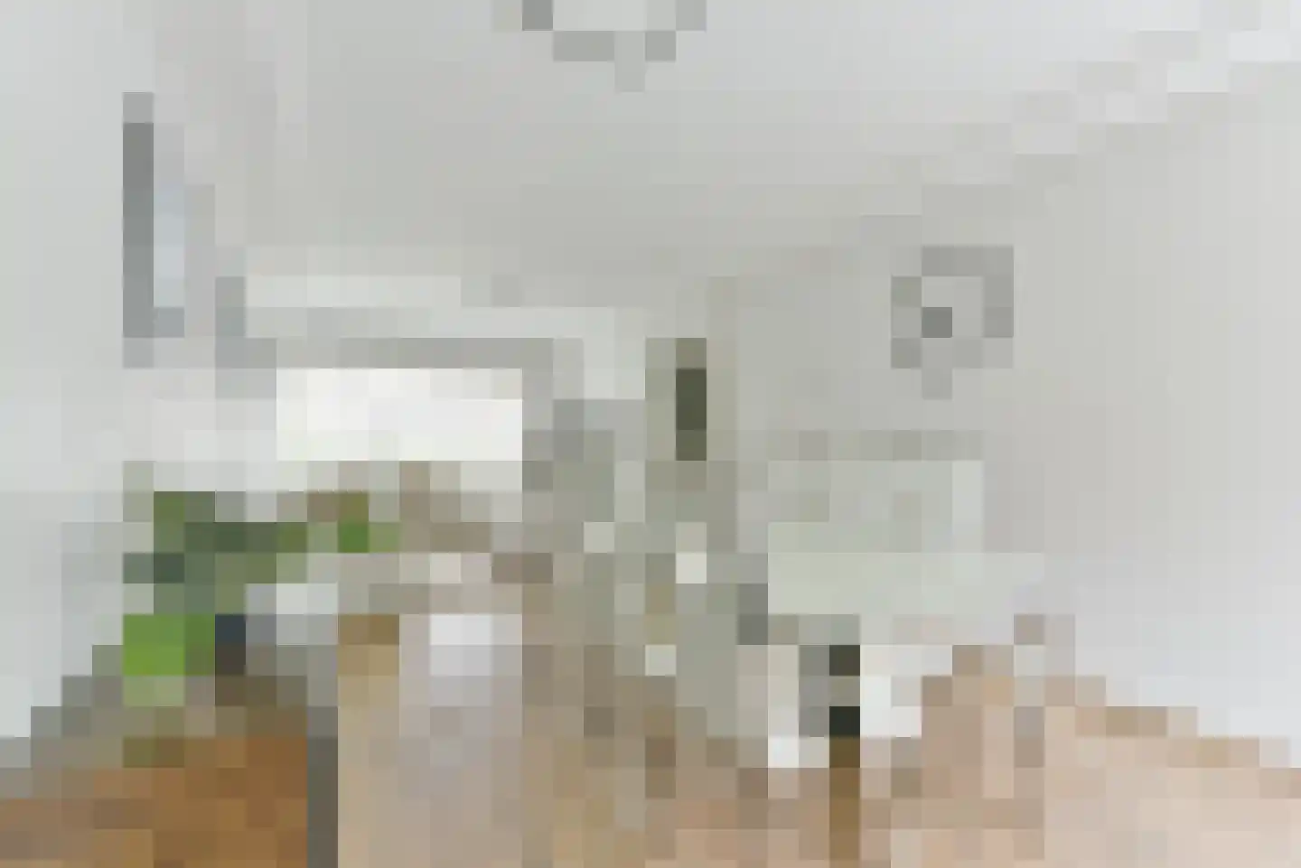 Alexander de Grotelaan 236 Utrecht thumbnail 11
