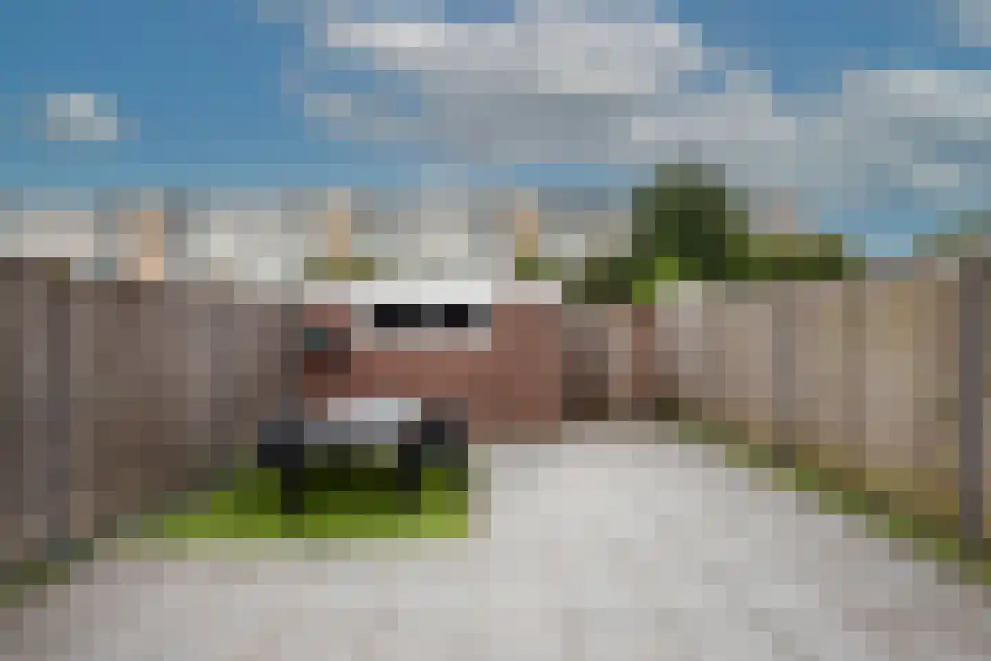 Alexander de Grotelaan 236 Utrecht thumbnail 20