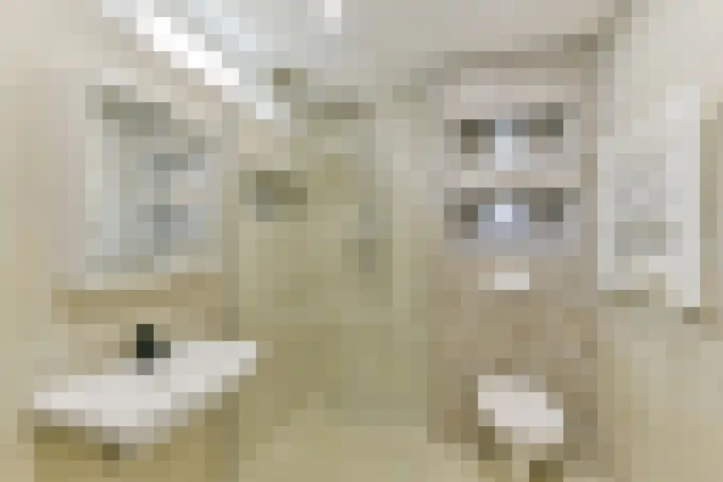 Alexander de Grotelaan 236 Utrecht thumbnail 35