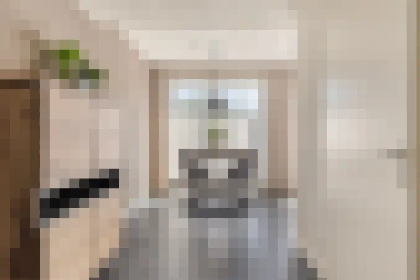 Alexander de Grotestraat 17 Hulst thumbnail 11