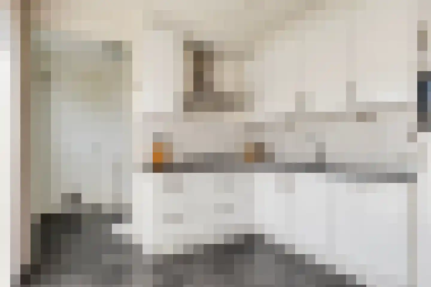 Alexander de Grotestraat 17 Hulst thumbnail 17