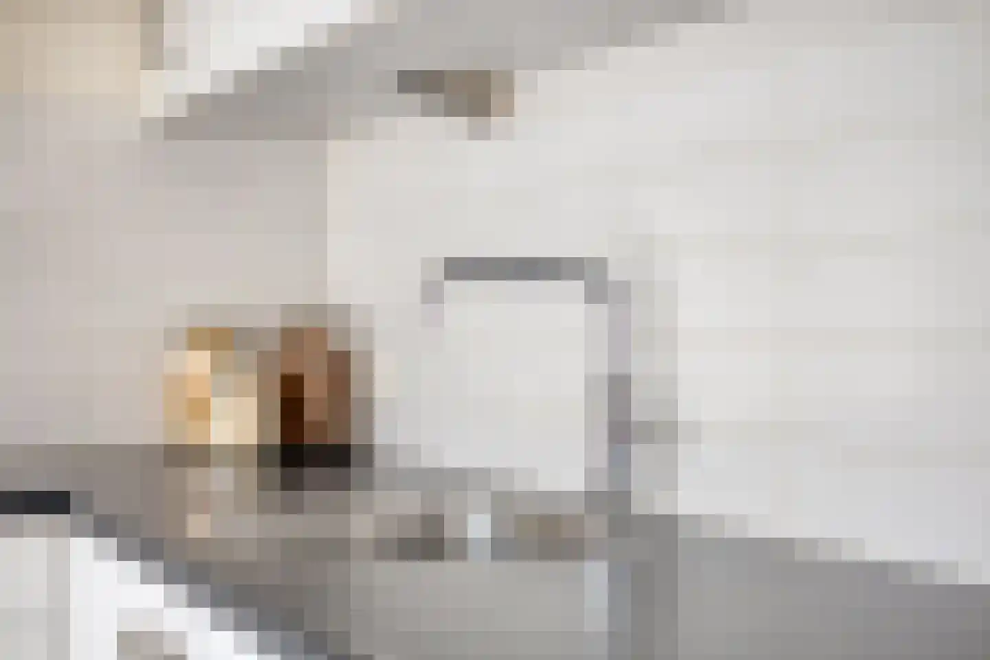 Alexander de Grotestraat 17 Hulst thumbnail 18