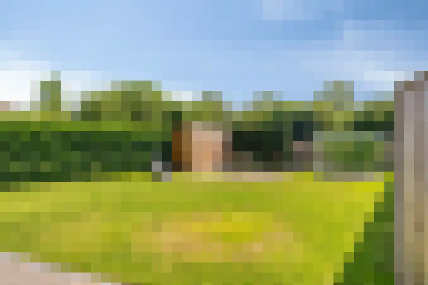 Alexander de Grotestraat 17 Hulst thumbnail 35