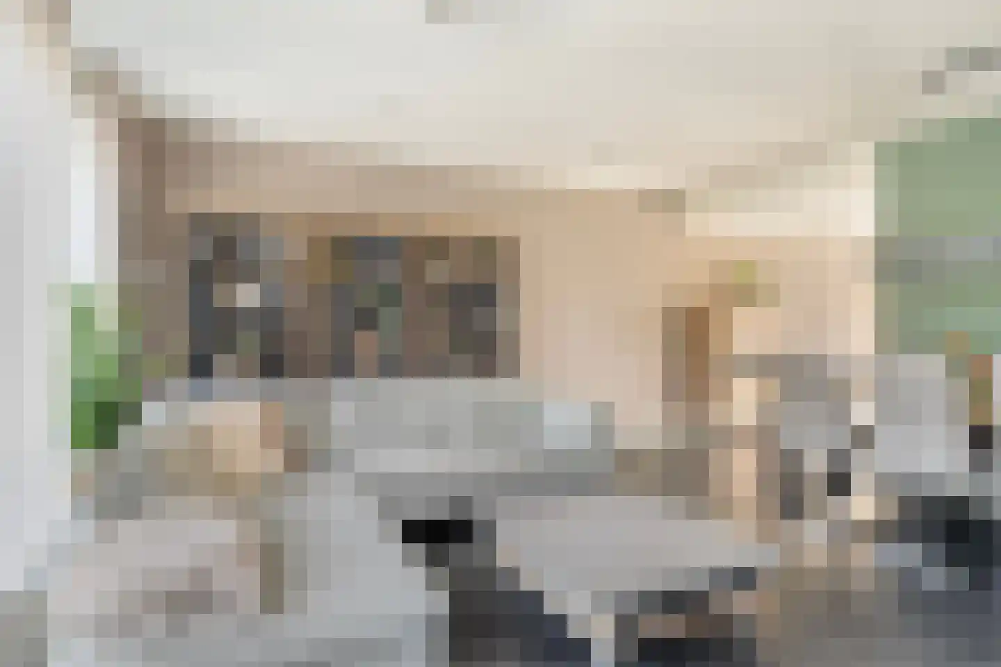Alexander de Grotestraat 17 Hulst thumbnail 8