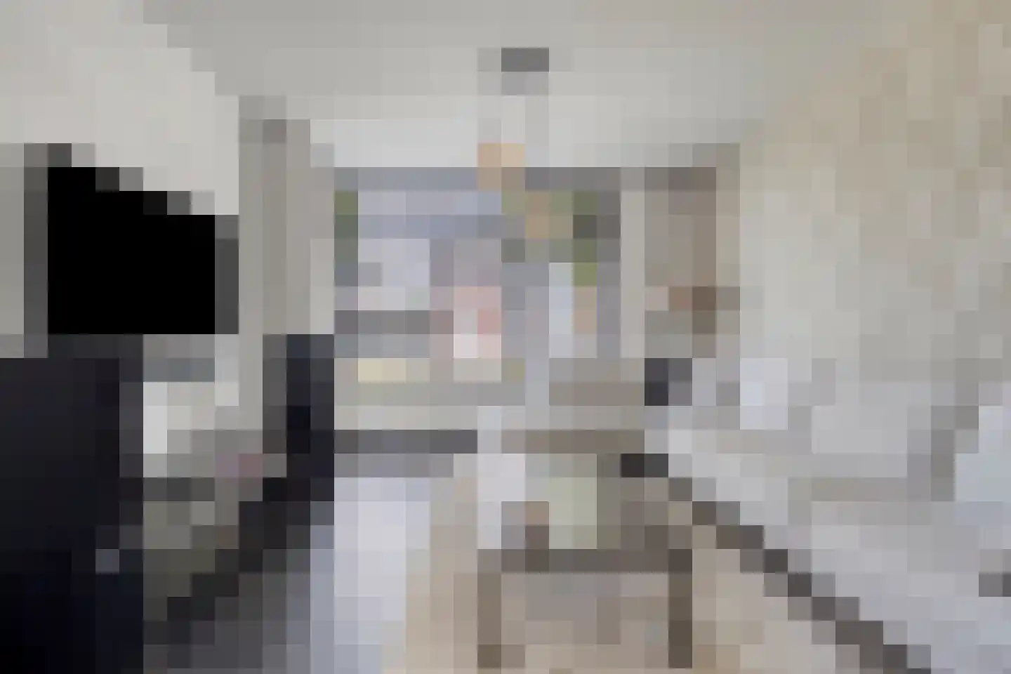 Alexander de Grotestraat 22 Hulst thumbnail 10
