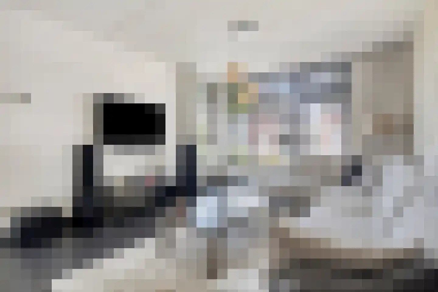 Alexander de Grotestraat 22 Hulst thumbnail 11