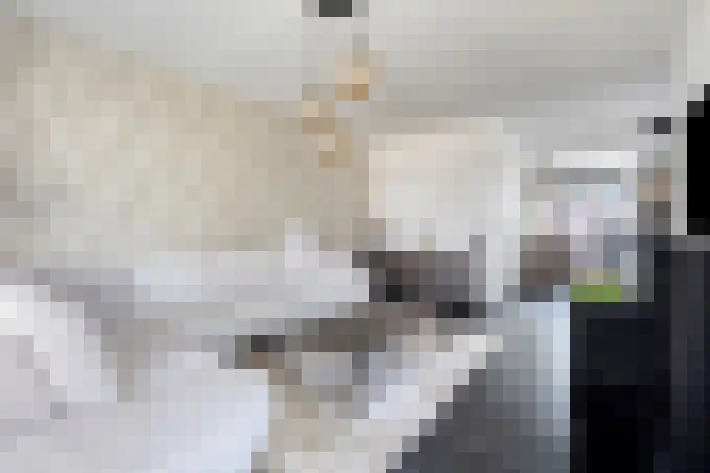 Alexander de Grotestraat 22 Hulst thumbnail 12