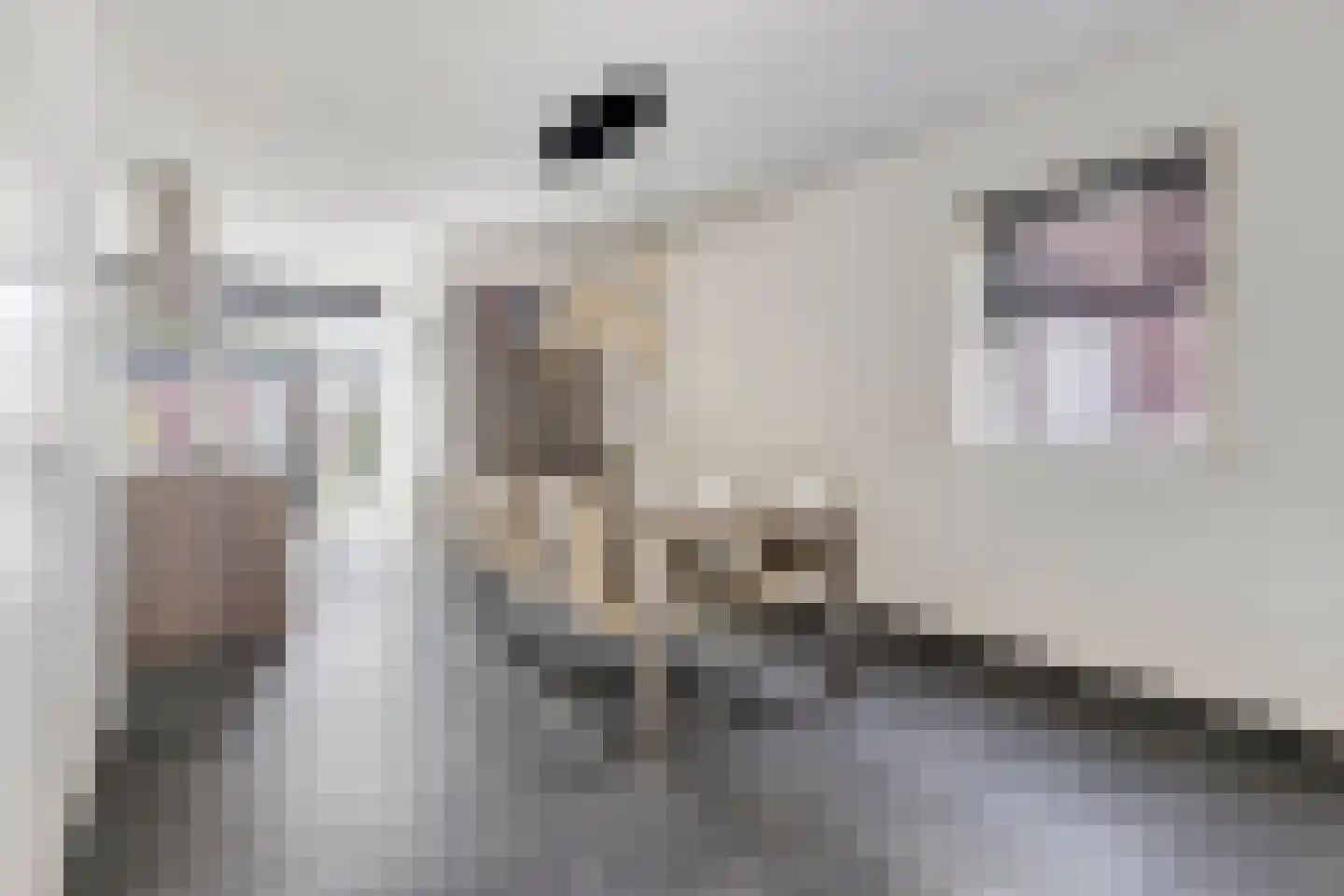 Alexander de Grotestraat 22 Hulst thumbnail 13